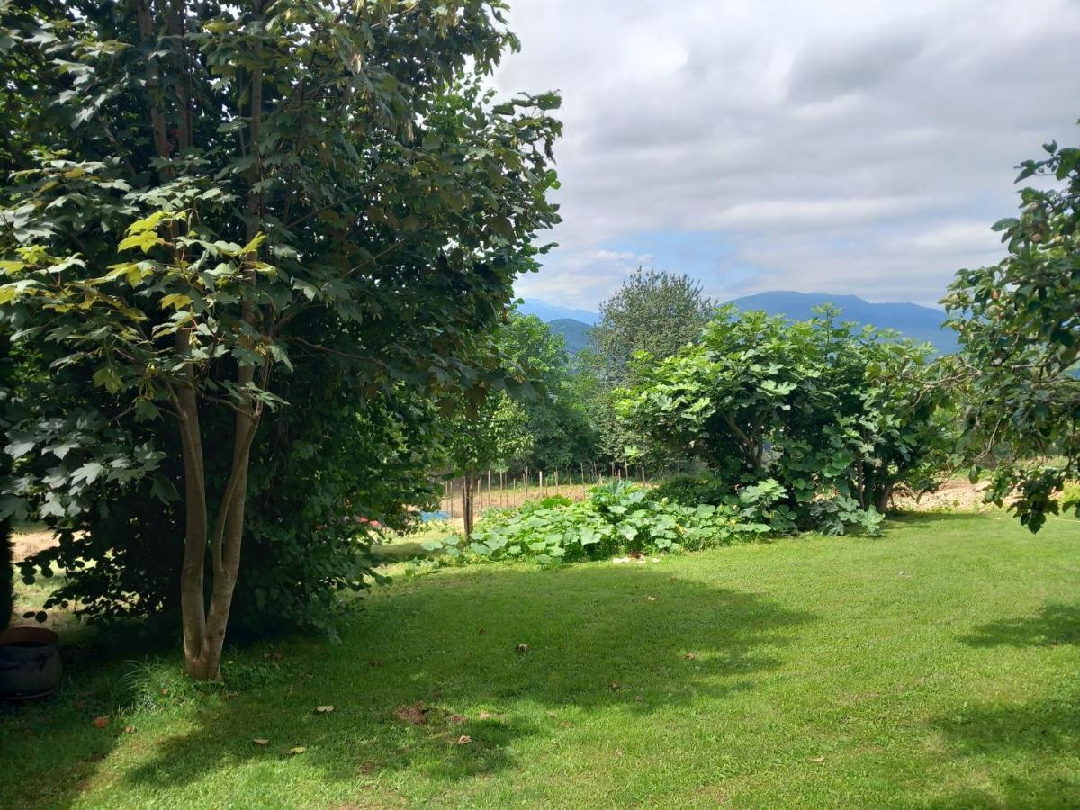 Maisonnette A La Campagne Ariege Villa Saint-Girons  Esterno foto